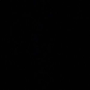 Meet your Posher, Al